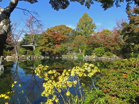 Marayama Park in Kyoto Japan
