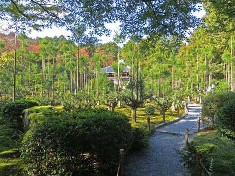 Ryoan-ji Garden in Kyoto Japan