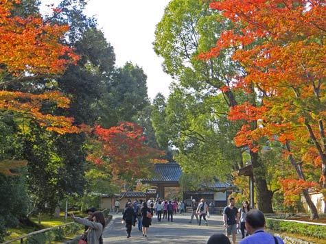 Sanmon Gate at the Ryoan-ji Temple in Kyoto