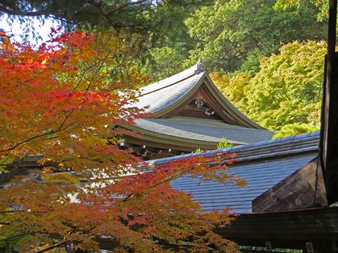 Autumn Colour in Kyoto Japan